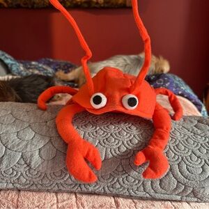 🦞 Lobster Dog Costume – XS – NWT 🎃